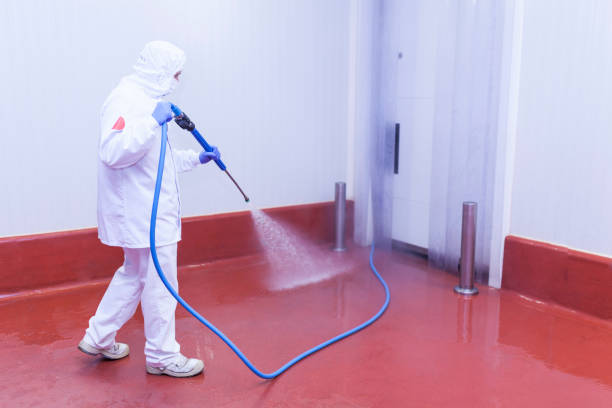 Best Vinyl Siding Pressure Washing in Culver, IN